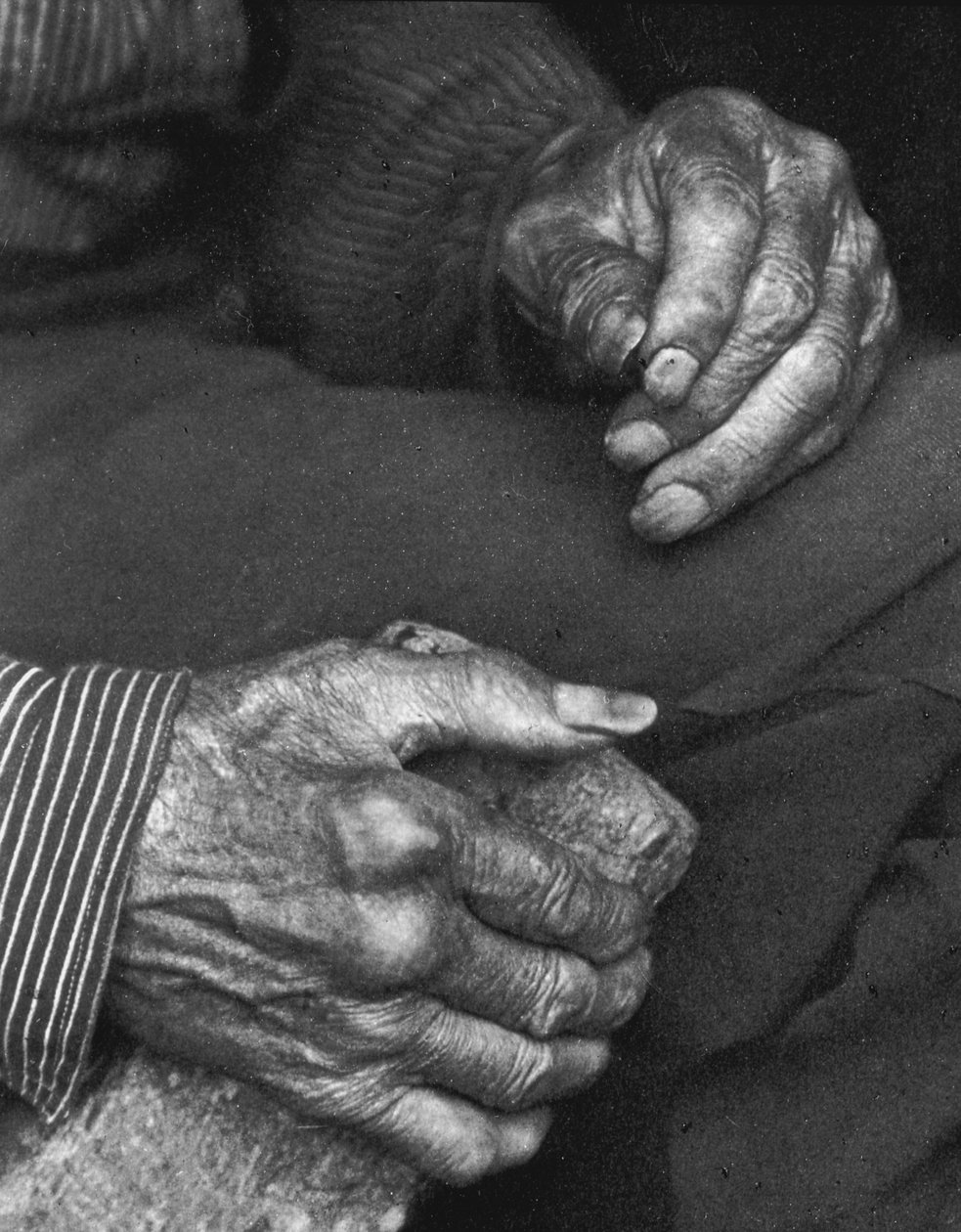 Egy munkás keze, 1925 alkotó: Doris Ulmann