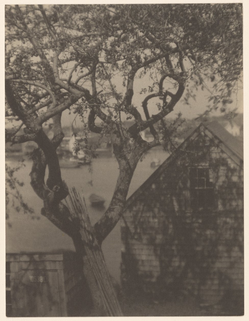 Kikötői jelenet, valószínűleg Gloucester, Massachusetts alkotó: Doris Ulmann