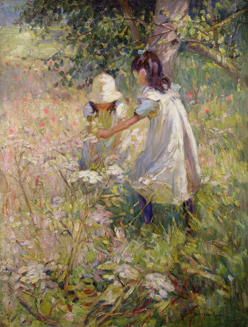  alkotó: Dorothea Sharp