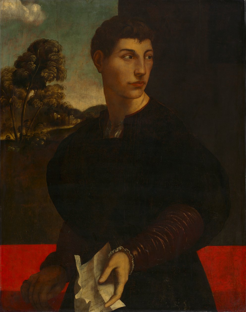 Egy fiatalember portréja, c. 1530 (olaj és arany fán) alkotó: Dosso (follower of) Dossi