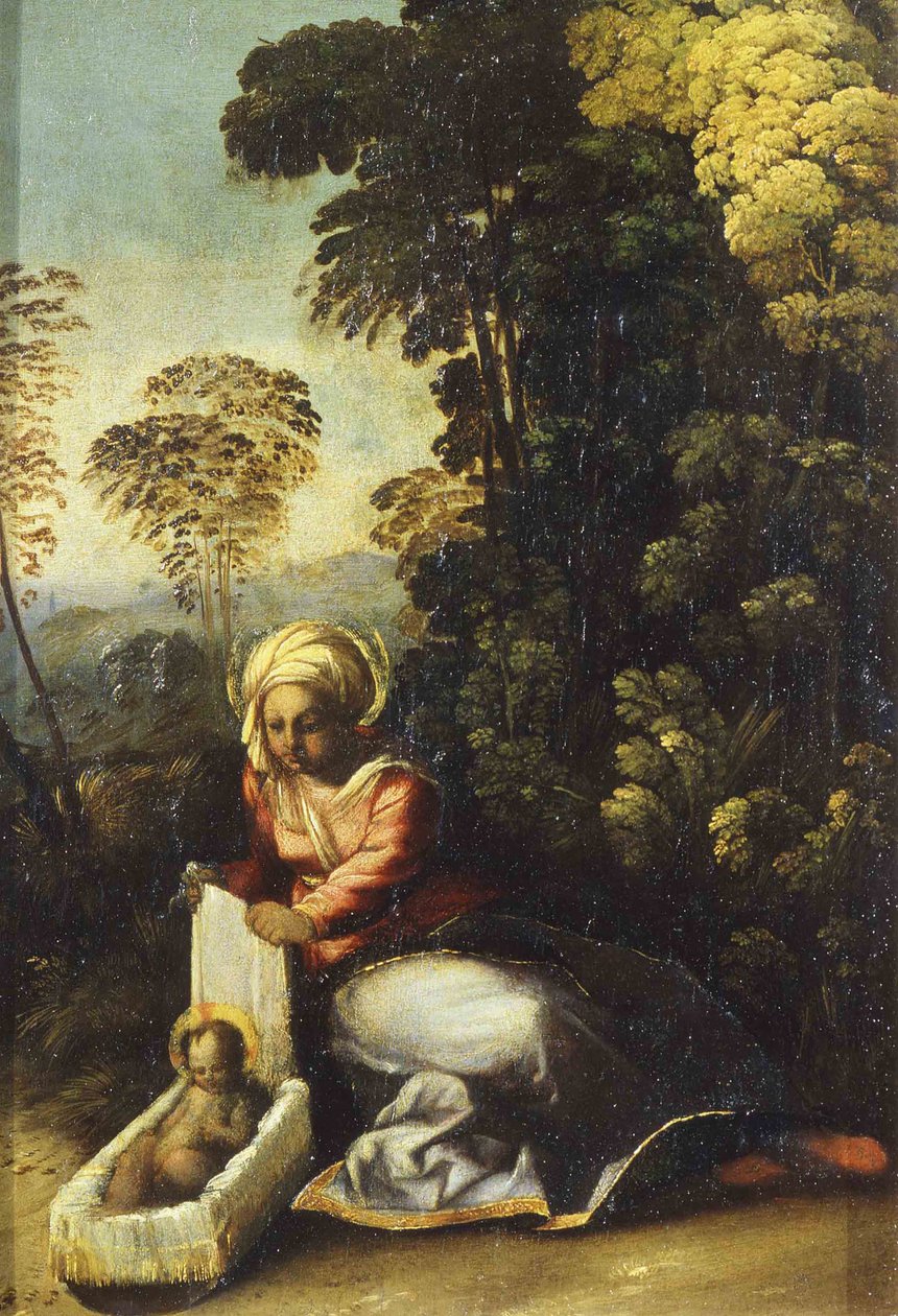 Madonna gyermekkel La Zingarella, c. 1513 alkotó: Dosso Dossi