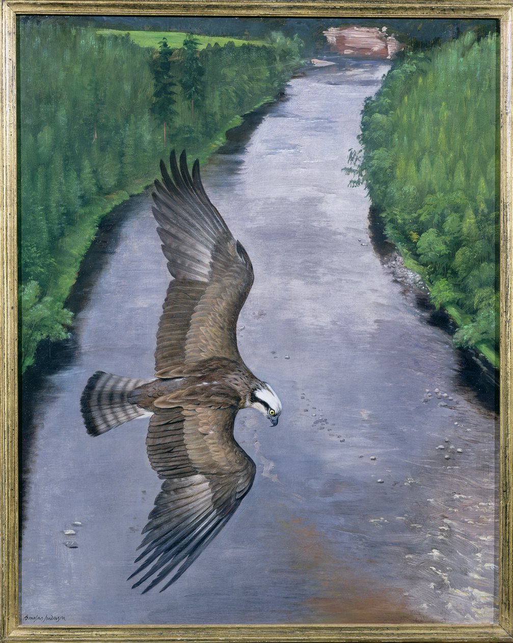 Osprey Horgászat alkotó: Douglas Anderson