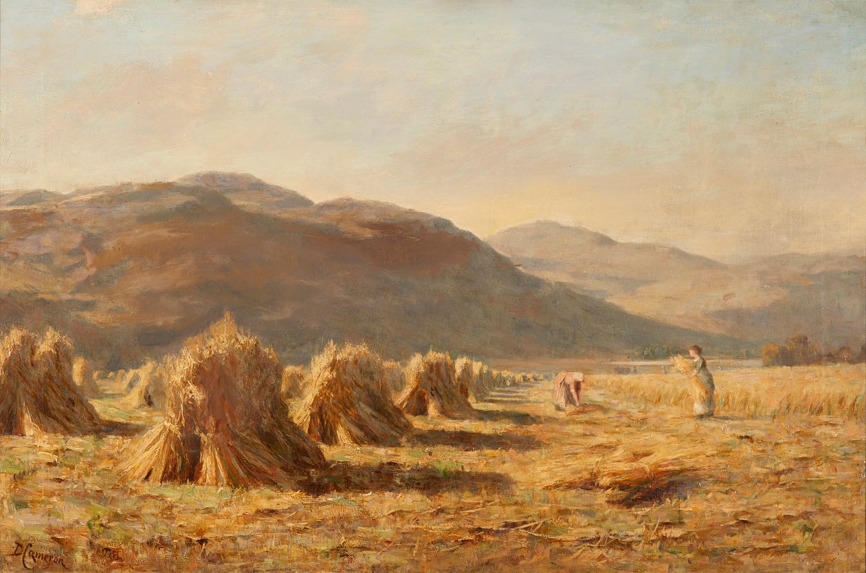 Betakarítás Dumyat közelében, Ochil Hills (olaj, vászon) alkotó: Duncan Cameron