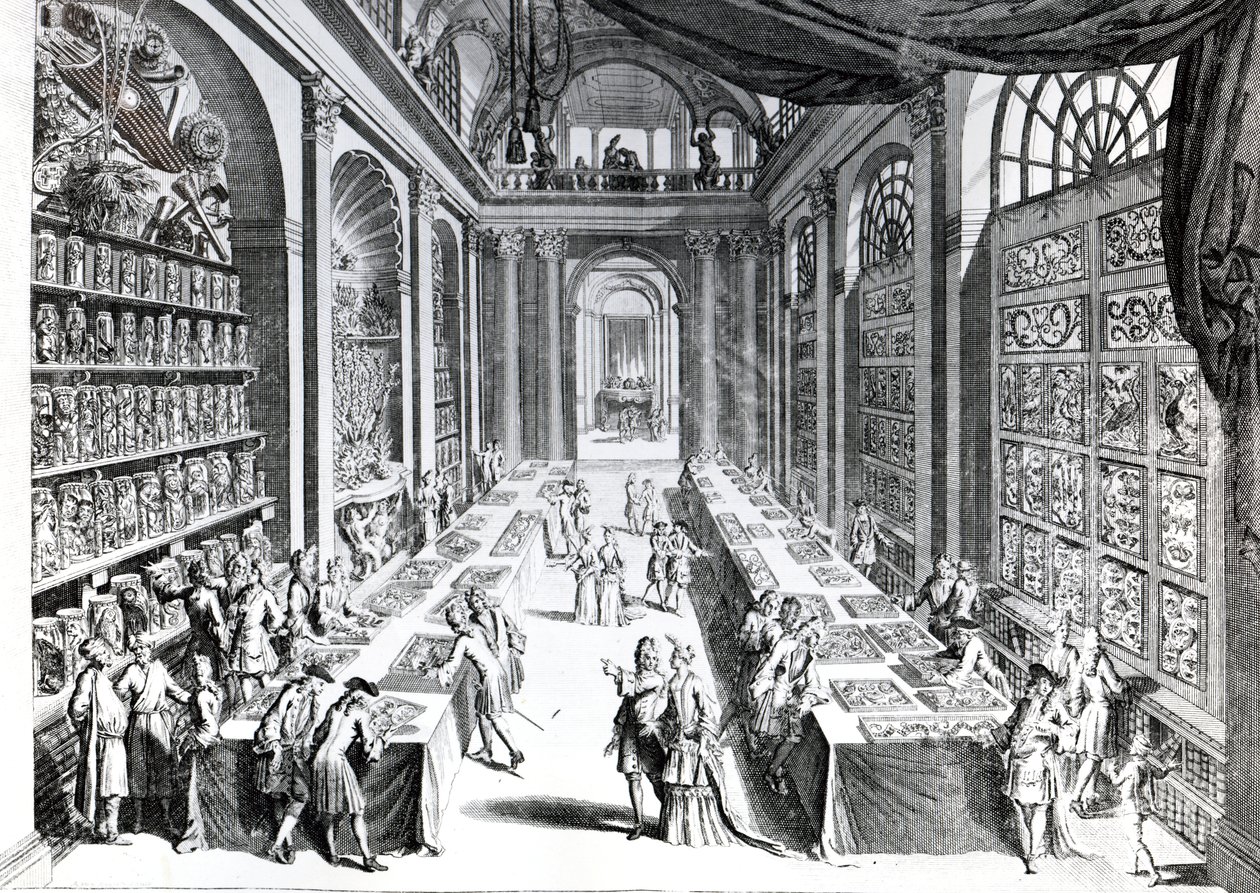 Illusztráció Levine Vincent „Elenchus Tabularum” című művéből, 1719-ben alkotó: Dutch School