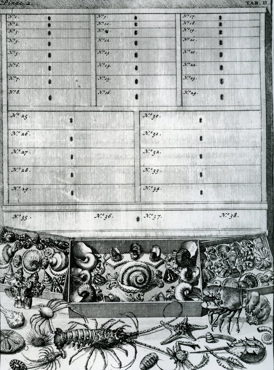 II. táblázat Levinus Vincent Elenchus Tabularum-jából, 1719-ben alkotó: Dutch School
