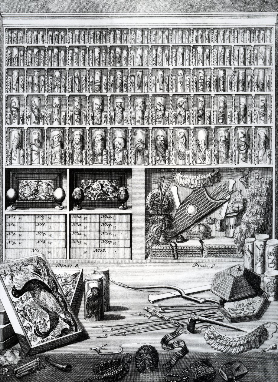 V. táblázat Levinus Vincent „Elenchus Tabularum”-jából, 1719-ben alkotó: Dutch School