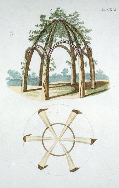 Egy lugas, G. van Laar „Magazine of Garden Gems” című könyvéből, 1802-ben (színes metszet) alkotó: Dutch School
