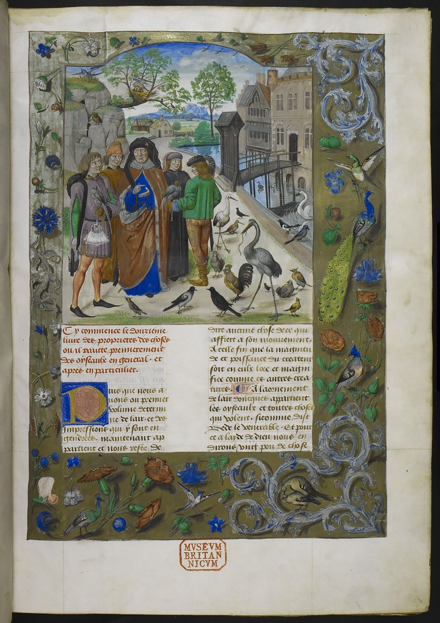 Bartholomaeus Angelicus, a francia De proprietatibus rerum-ból (Livre des proprietez des choses), Royal 15 E III, f. 11 alkotó: Dutch School