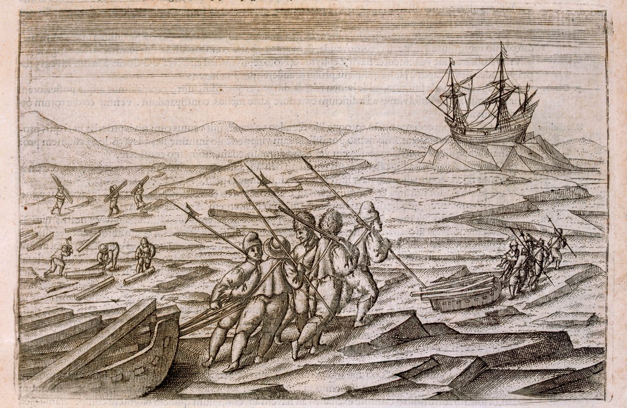 Uszadékfát gyűjtünk ahhoz a kabinhoz, amelyben az expedíció telelt, illusztráció a Diarium Nauticumból, seu vera descriptio trium navigationum admirandarum... Gerrit de Veer, 1598 alkotó: Dutch School