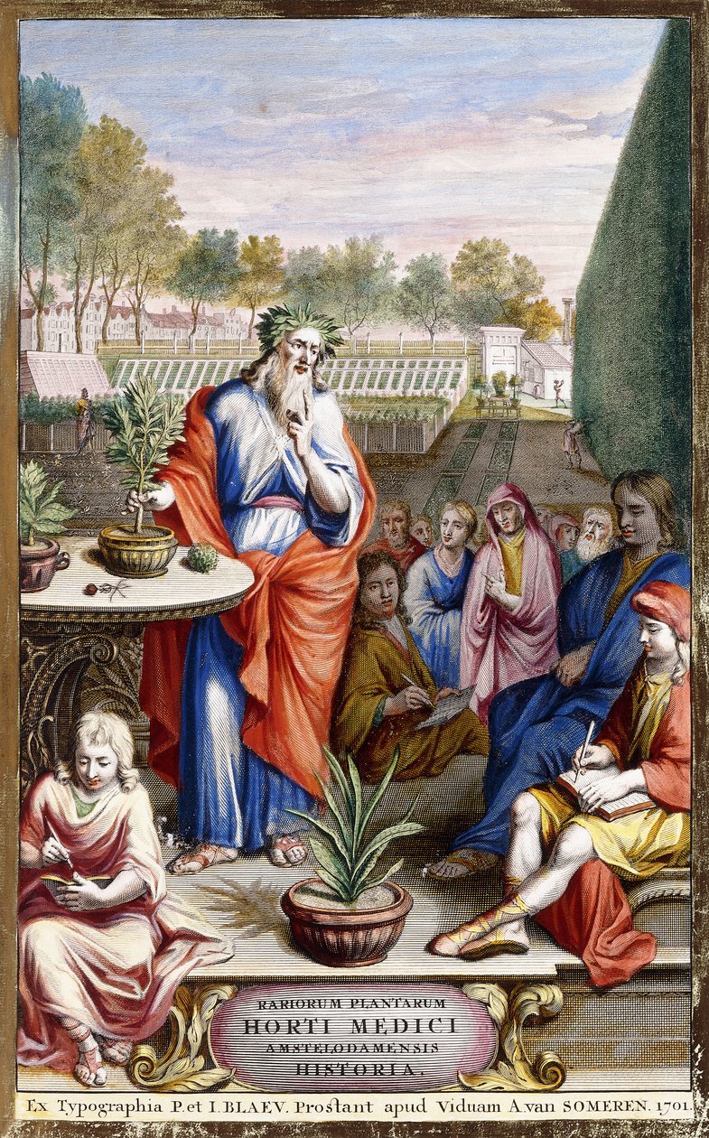 Latin címlap alkotó: Dutch School