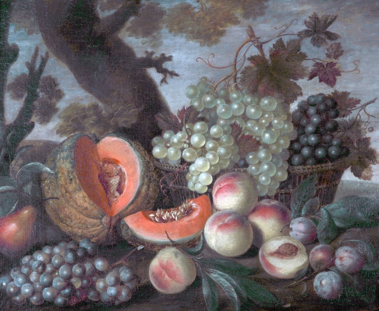 Dinnye és szőlő alkotó: Dutch School