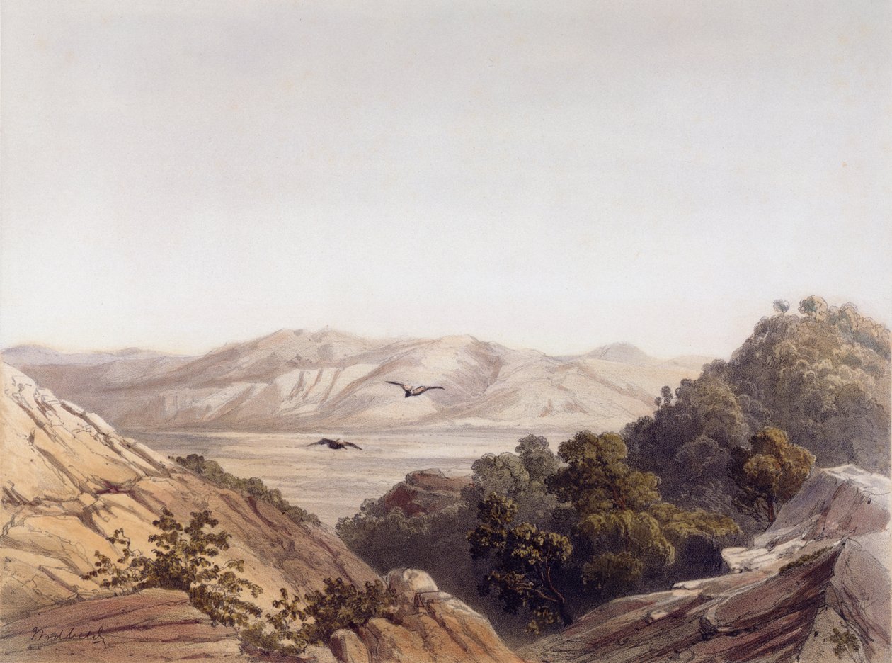 Kármel-hegy, Izrael, vésette L. A Sabatier alkotó: Dutch School