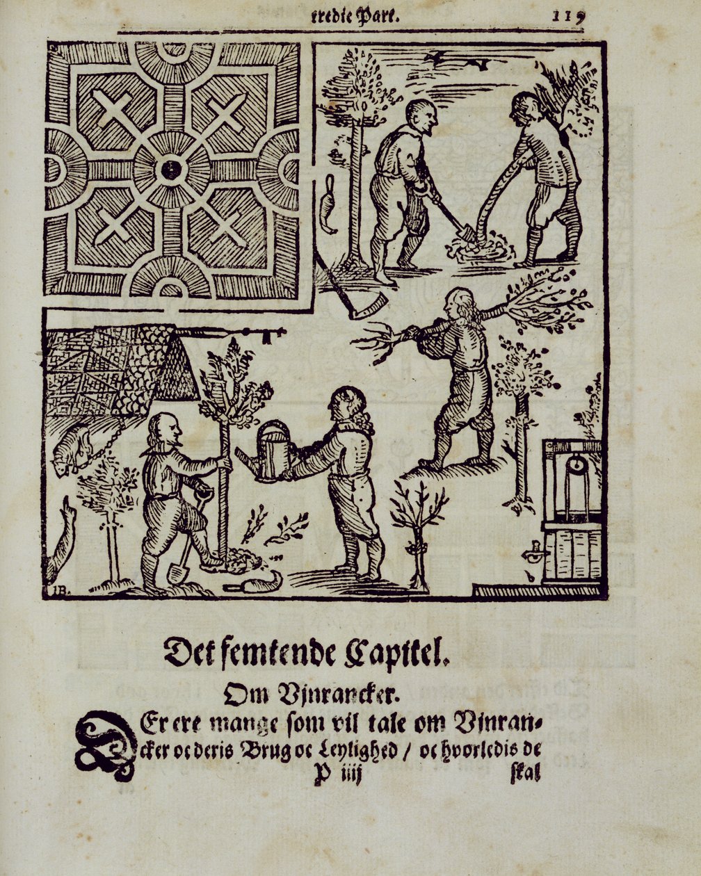 Fák ültetése, Johann van der Groen A holland kertész című művéből, 1699-ben alkotó: Dutch School