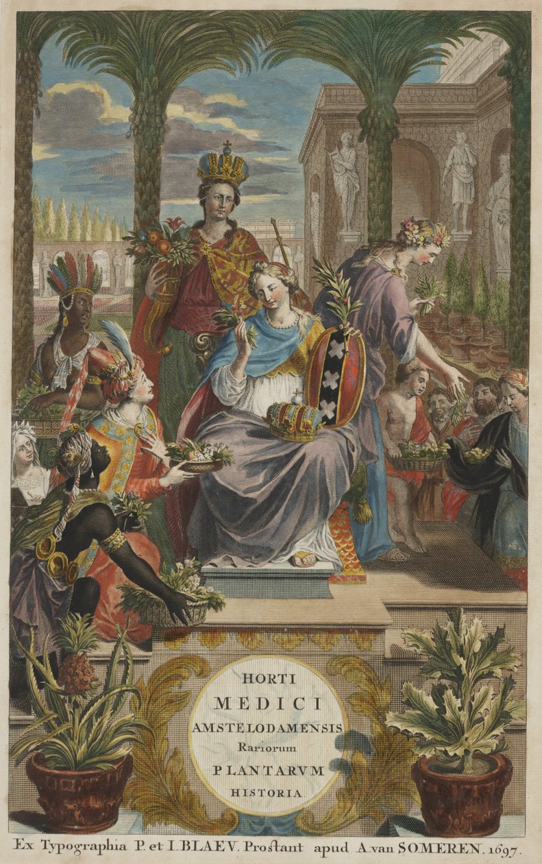 Címlap a "Horti Medici Amstelodamensis Rariorum Plantarum Historia" I. kötetéből, írta Jan Commelin alkotó: Dutch School