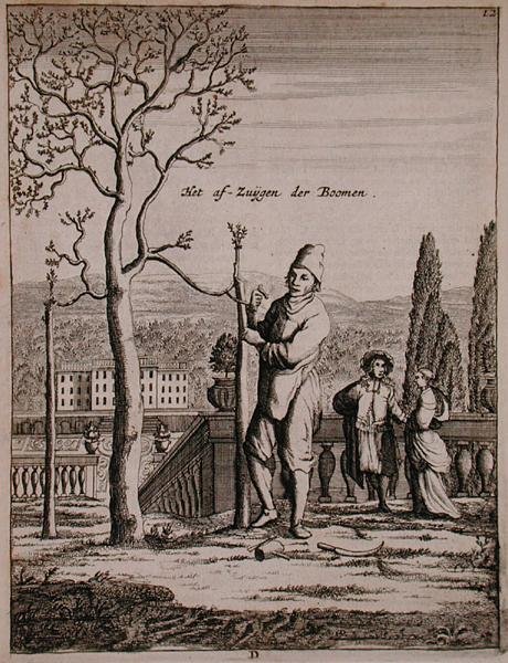 Espalier képzése, Jan Commelin „De Nederlandze Hesperides” című művéből, 1676-ban jelent meg (metszet) alkotó: Dutch School