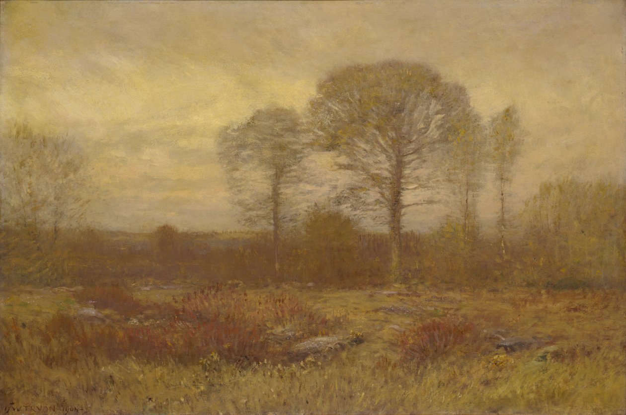 1904-1905 november. alkotó: Dwight William Tryon