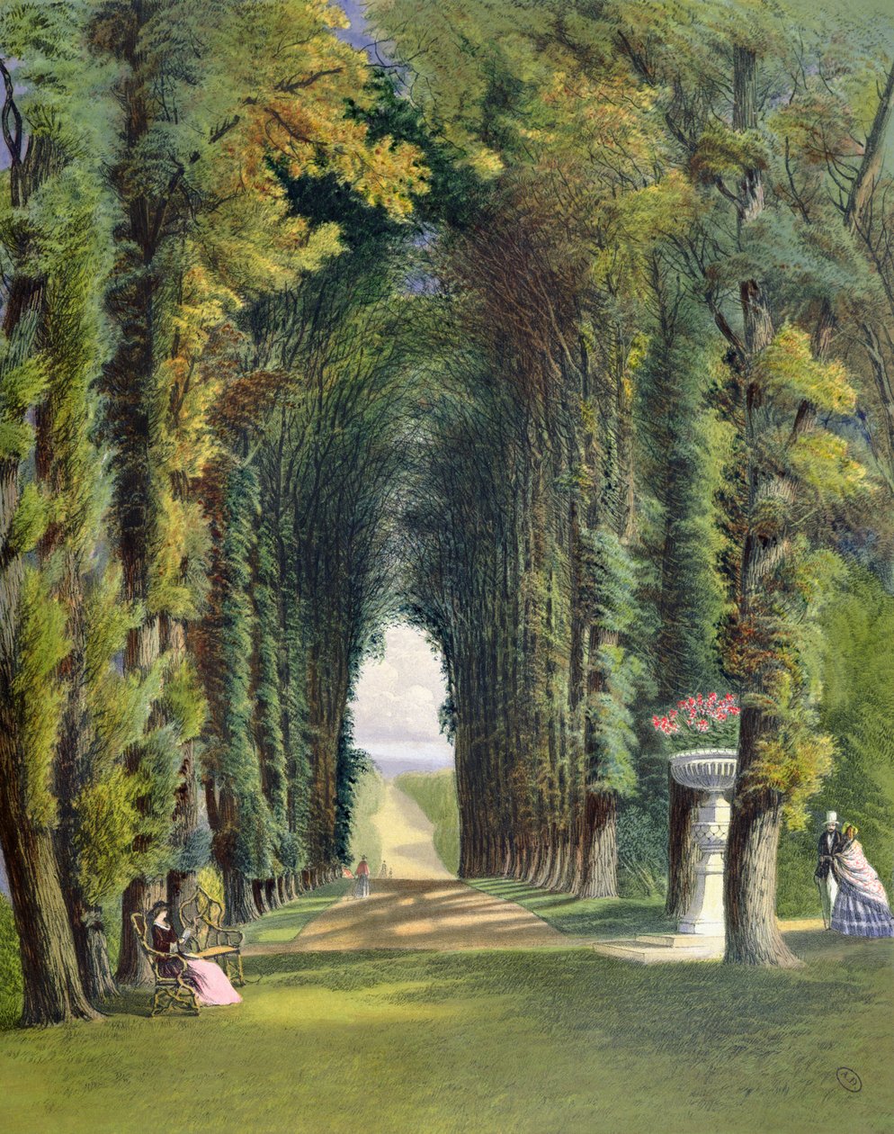 Vista in the Gardens of Teddesley, a Gardens of Englandből, 1857-ben megjelent alkotó: E. Adveno Brooke