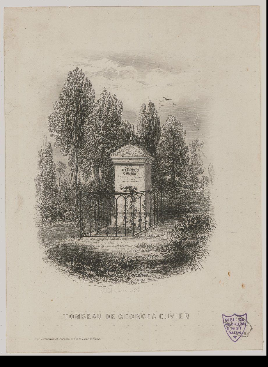 Georges Cuvier sírja alkotó: E. Chavanne