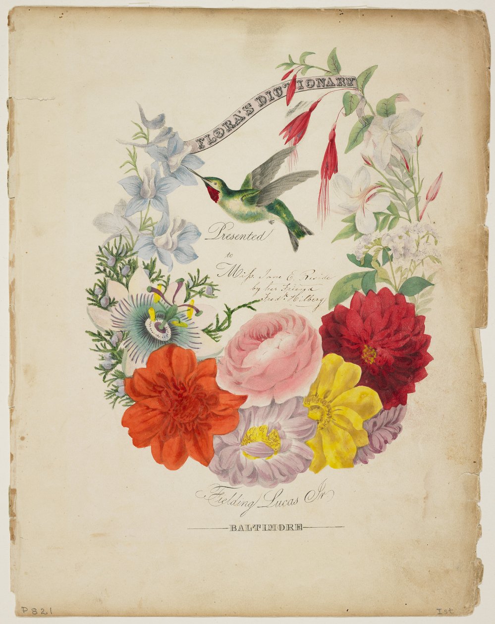 Bemutatkozó oldal, virágfüzér és kolibri, a Flora szótárból, 1838 alkotó: E. W. Wirt