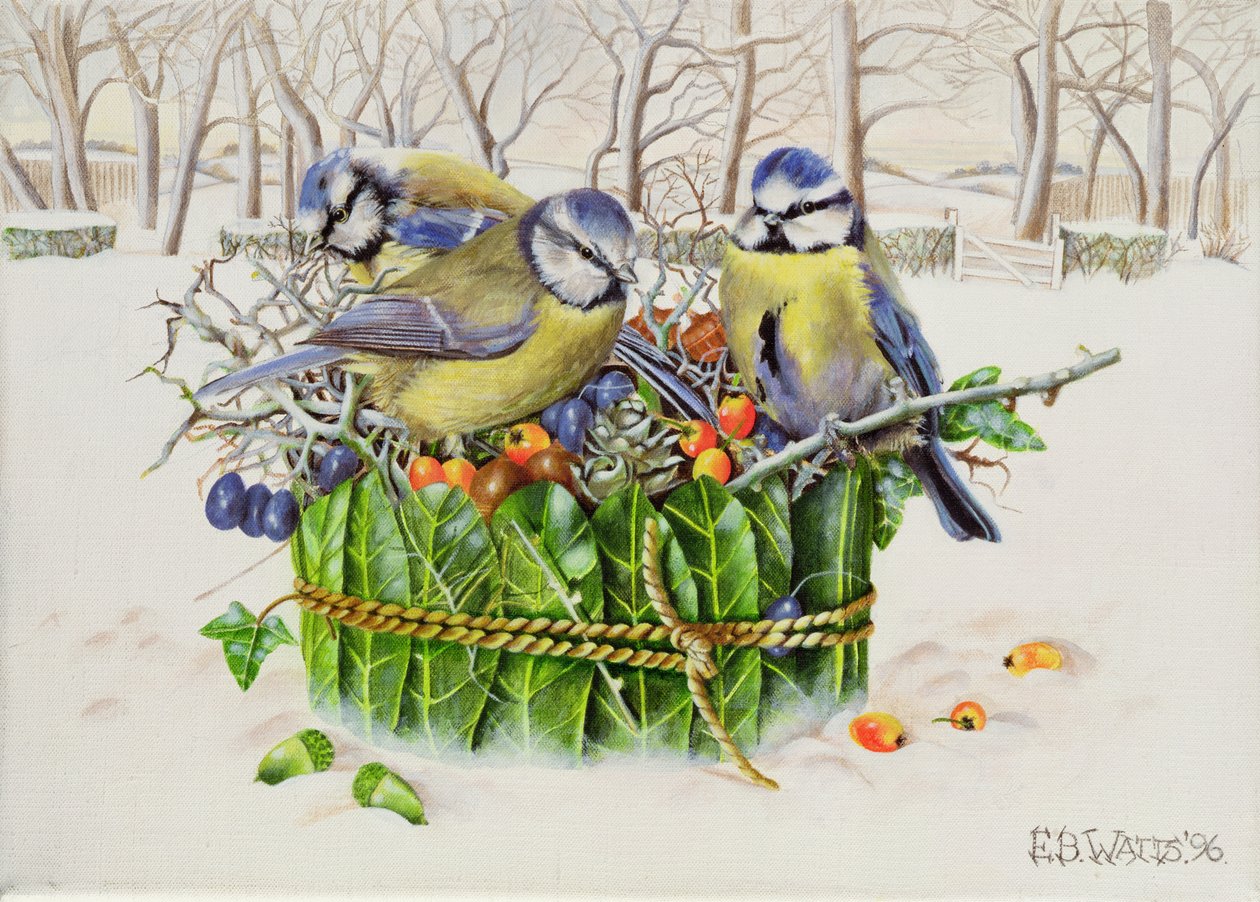 Blue Tits in Leaf Nest, 1996 (akril, vászon) alkotó: E.B. Watts