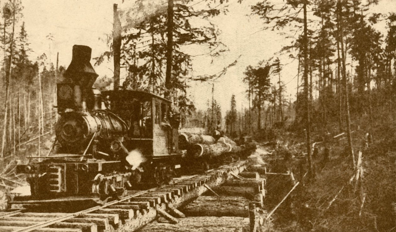 Fakitermelő vasút, British Columbia, 1930. alkotó: ENA