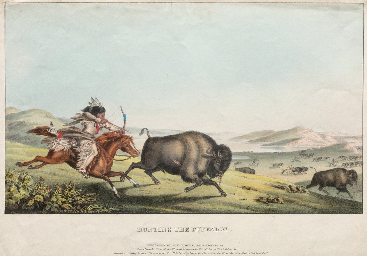 Vadászat a bivalyra, 1837. alkotó: E. C. Biddle