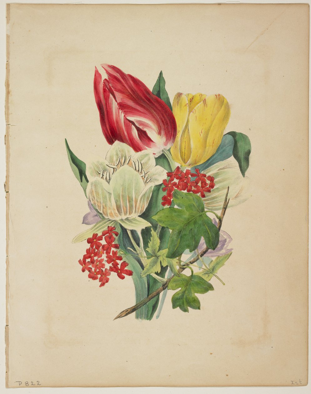 Tulipáncsokor, Flora szótárából, 1838 alkotó: E. W. Wirt