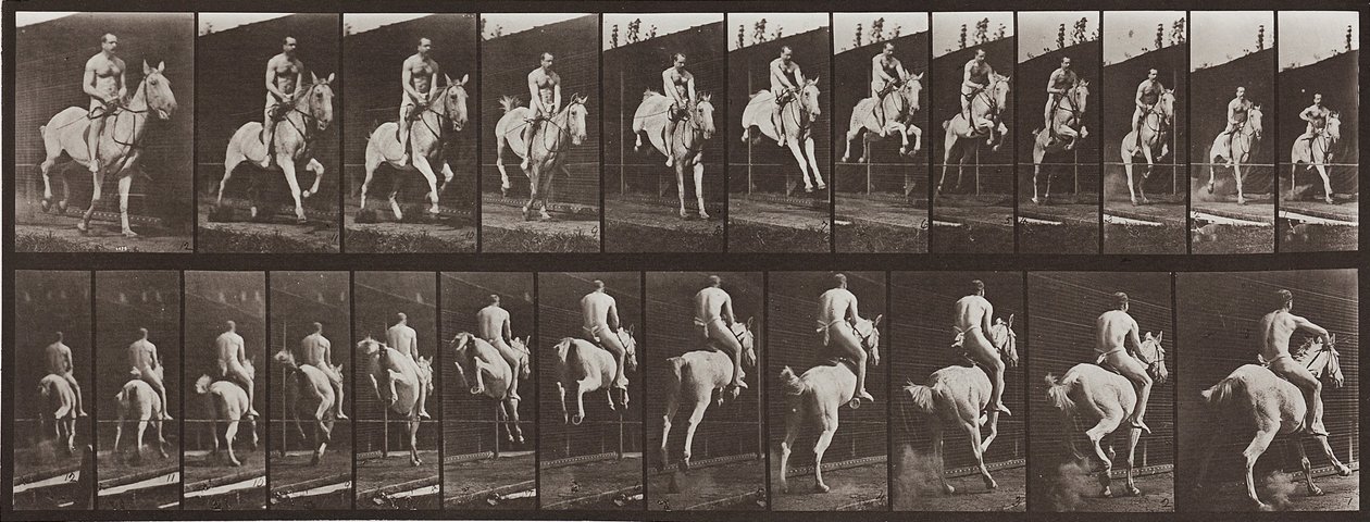 Állatok mozgása, 646. tábla alkotó: Eadweard Muybridge