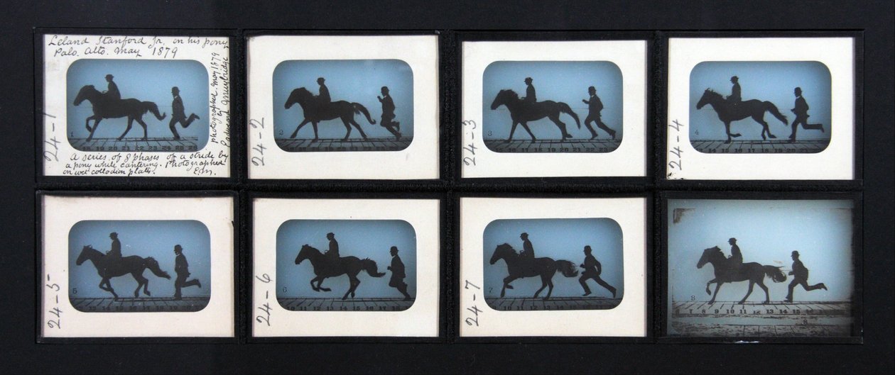 Leland Stanford Jr. az ő Pony Gypsy póniján alkotó: Eadweard Muybridge