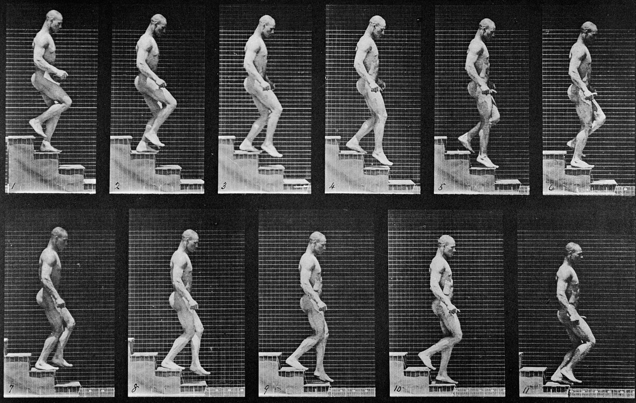 Férfi lépcsőn lefelé, az „Animal Locomotion”-ból, 1887 alkotó: Eadweard Muybridge