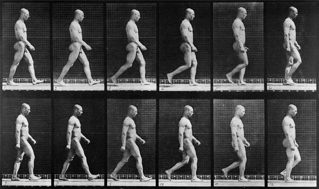 Sétáló ember, az „Animal Locomotion” című filmből, 1887 alkotó: Eadweard Muybridge