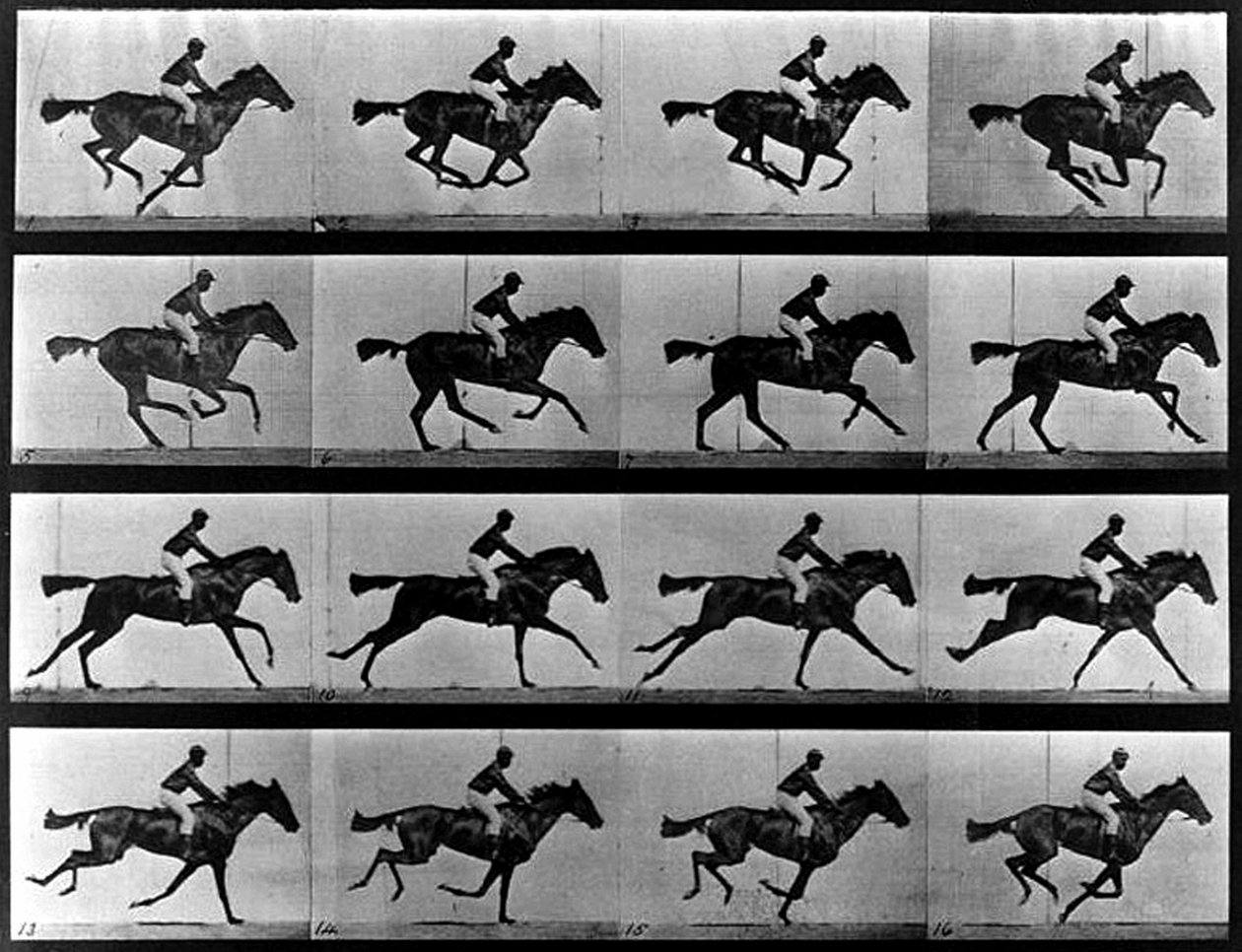 Sorozatfotó alkotó: Eadweard Muybridge