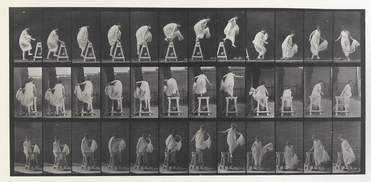 Állati mozgáslemez alkotó: Eadweard Muybridge