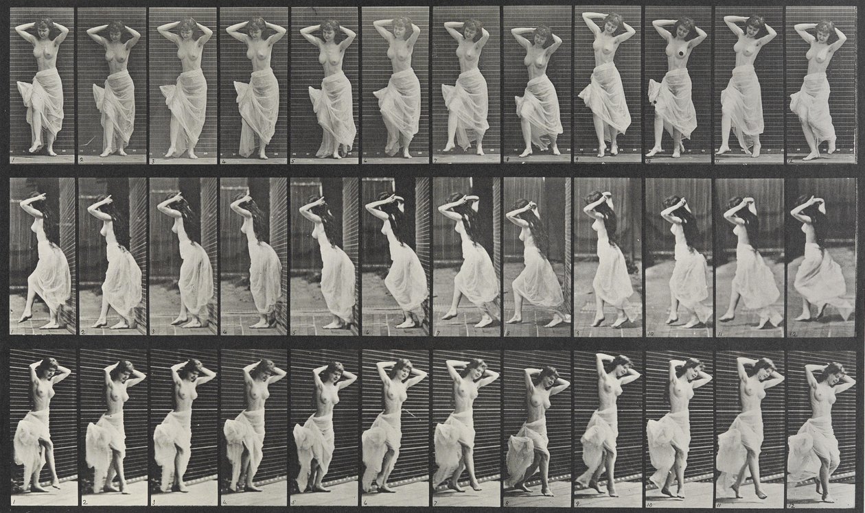 Állati mozgáslemez 190 alkotó: Eadweard Muybridge