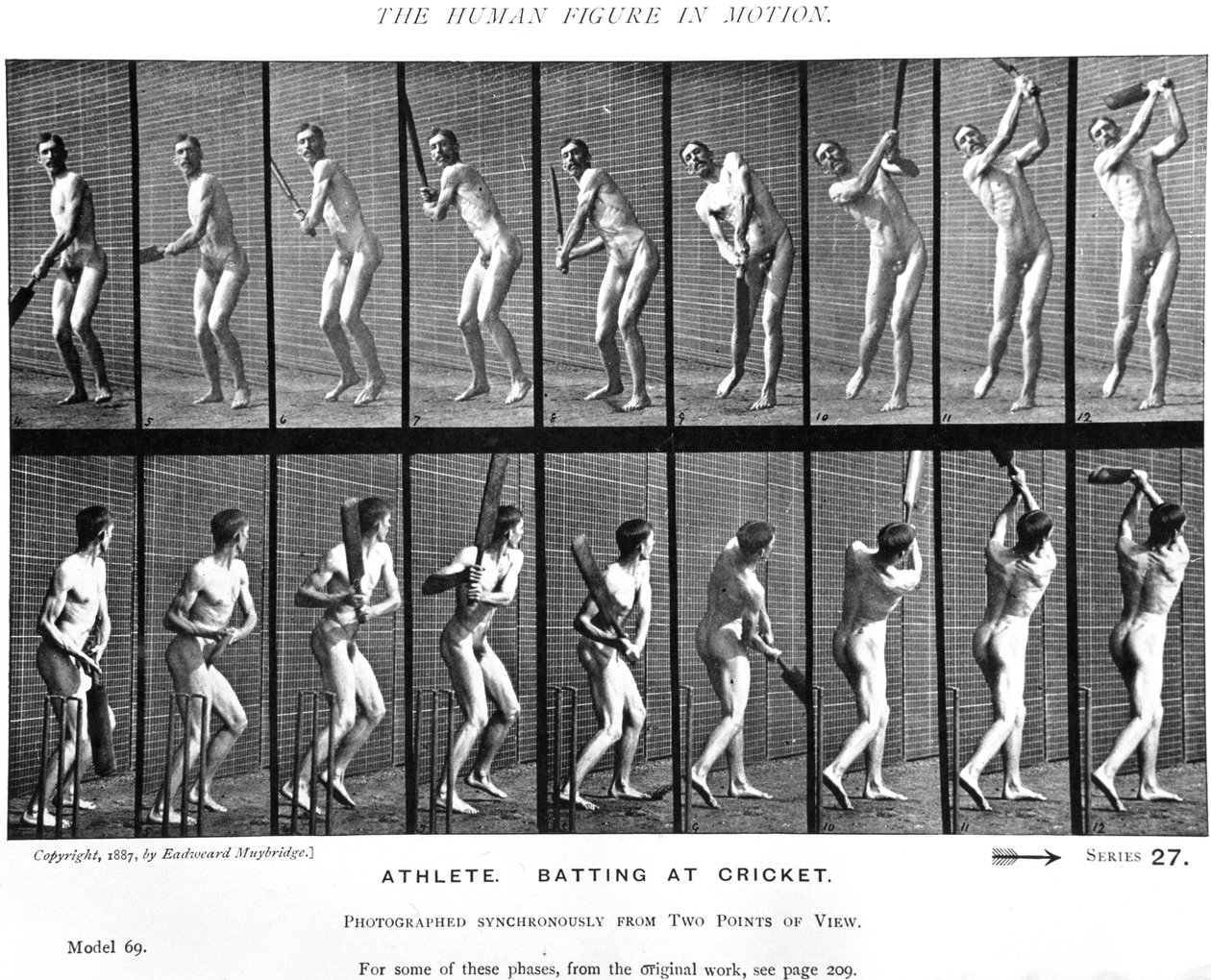 Krikettjáték az Animal Locomotion-ból, 1887 alkotó: Eadweard Muybridge