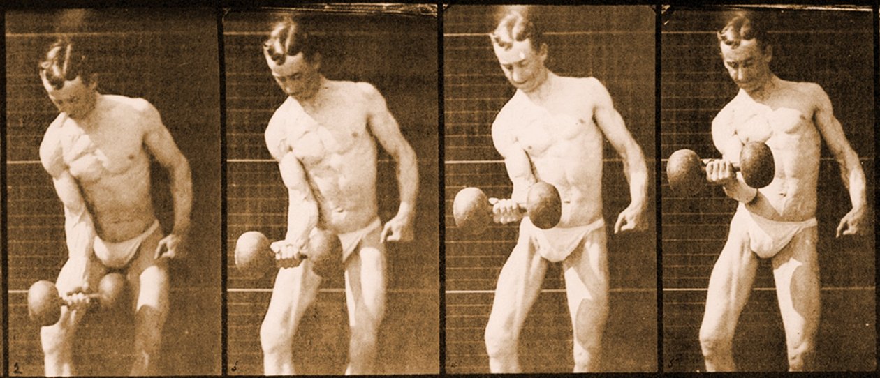 Kép az „Animal Locomotion” sorozatból, 1887 körül alkotó: Eadweard Muybridge