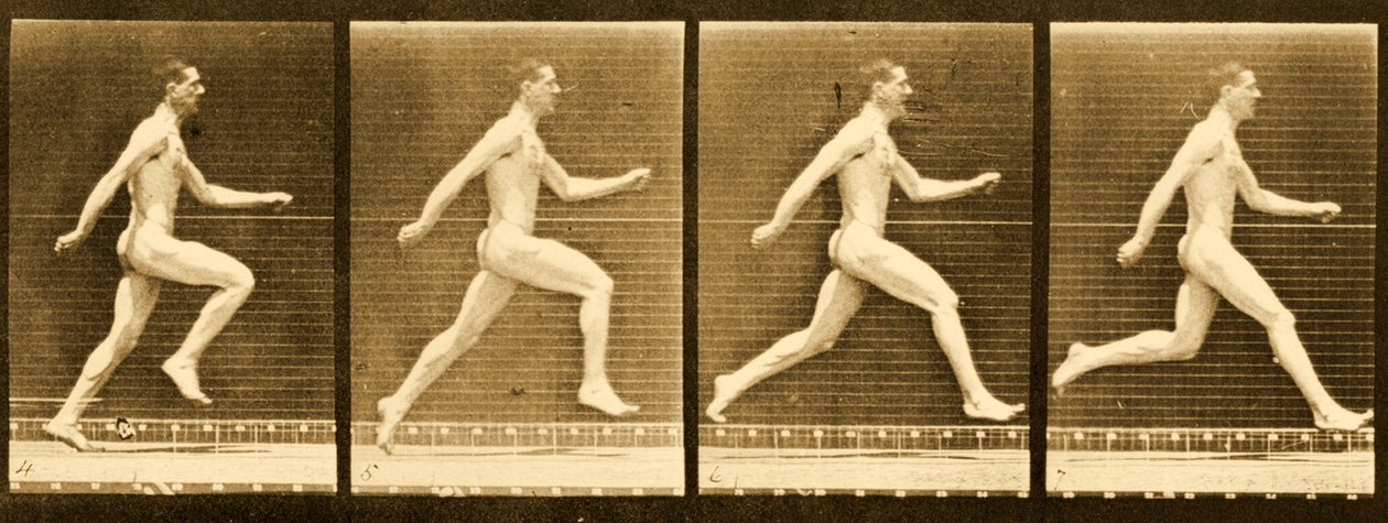Képsorozat az „Animal Locomotion” sorozatból, 1887 körül alkotó: Eadweard Muybridge