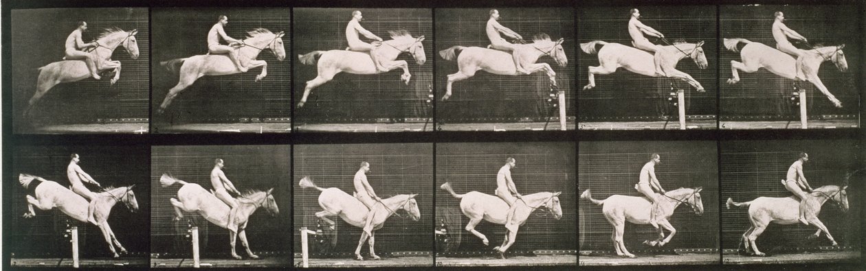 Férfi és ló ugrál a kerítésen, 643-as tábla az „Animal Locomotion”-ból, 1887 alkotó: Eadweard Muybridge