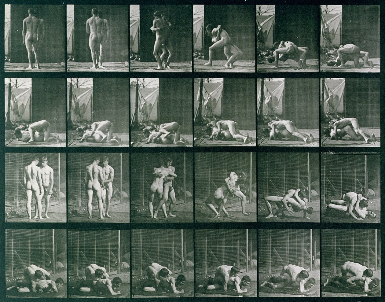 Two Men Wrestling, 346-os tábla az „Animal Locomotion”-ból, 1887 alkotó: Eadweard Muybridge