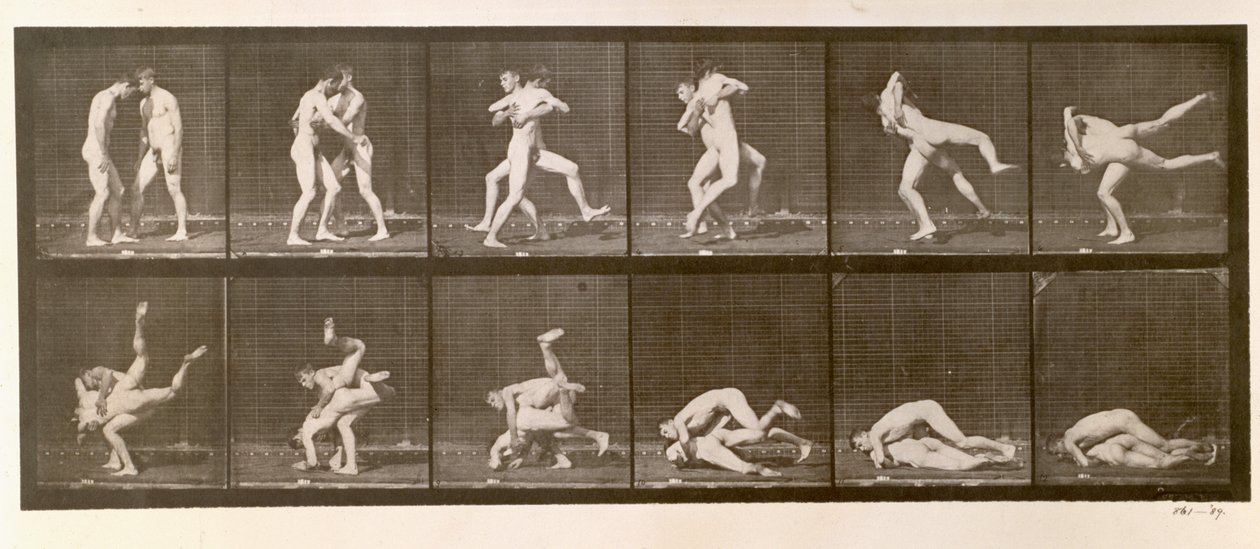 Two Men Wrestling, 347-es lemez az „Animal Locomotion”-ból, 1887 alkotó: Eadweard Muybridge