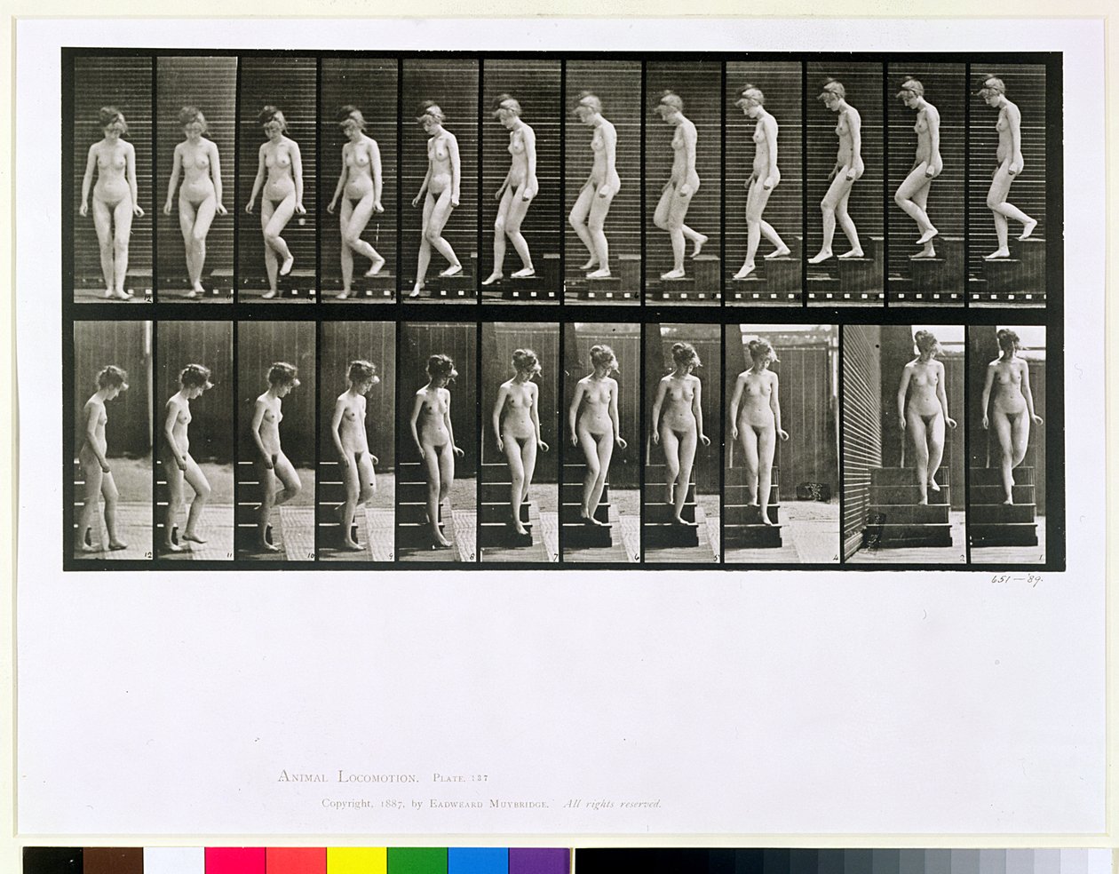 Nő lefelé lépcsőn, 137-es tábla az „Animal Locomotion”-ból, 1887 alkotó: Eadweard Muybridge