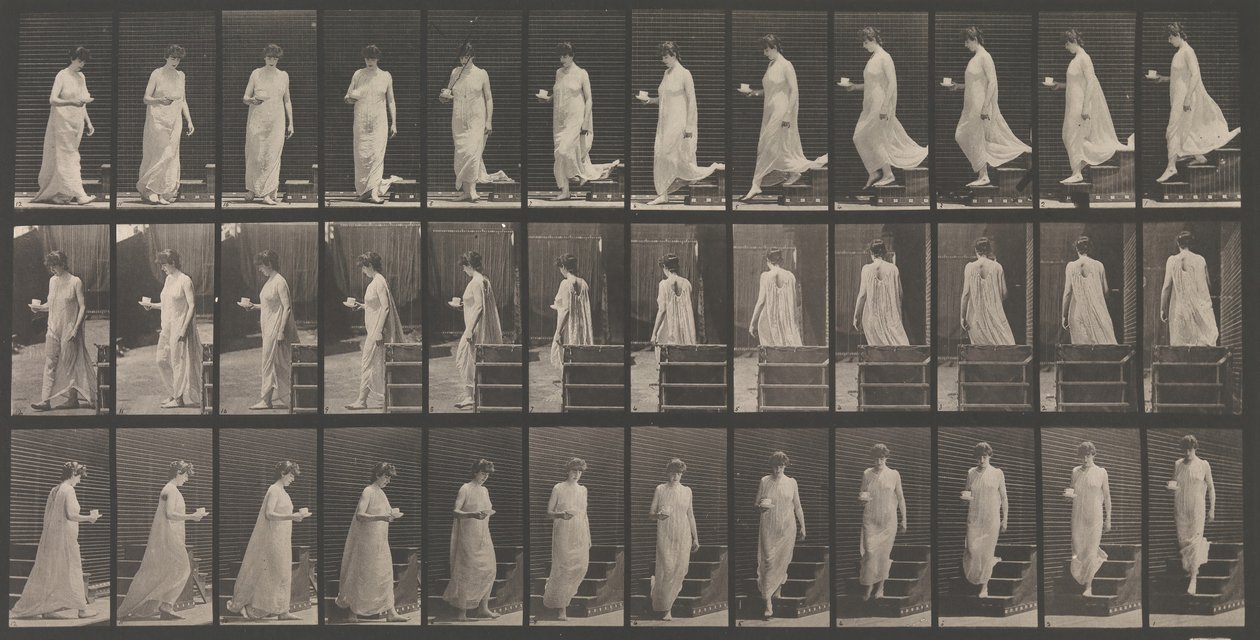 Állati mozgás. Az állatok mozgásának elektro-fotográfiai vizsgálata. Kezdje..., 1880-as évek. alkotó: Eadweard Muybridge