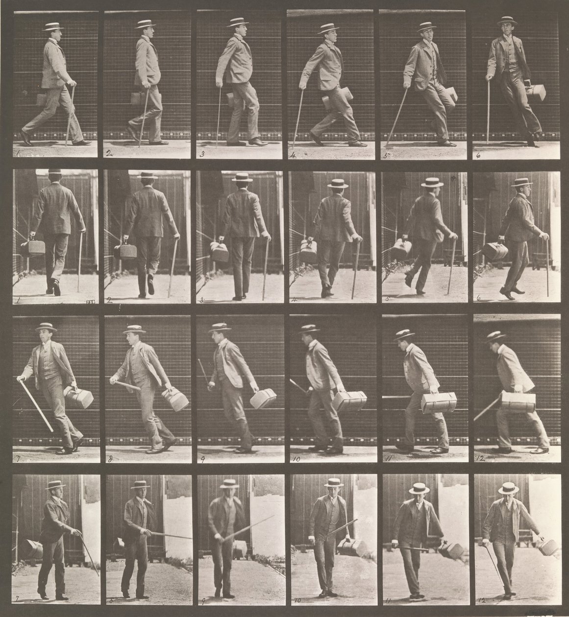 Állati mozgás. Az állatok mozgásának elektro-fotográfiai vizsgálata. Kezdje..., 1880-as évek. alkotó: Eadweard Muybridge