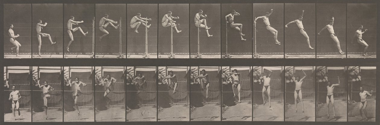 Állati mozgás. Az állatok egymást követő fázisainak elektro-fotográfiai vizsgálata ..., 1880-as évek. alkotó: Eadweard Muybridge