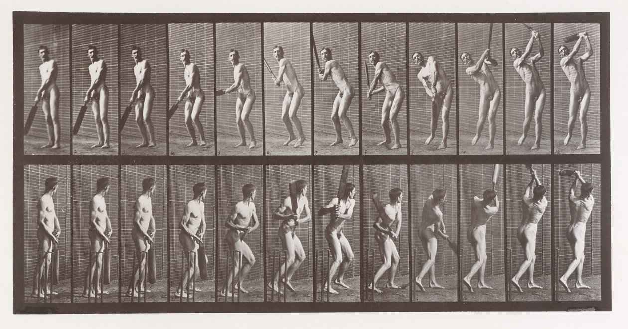 Állati mozgás. Az állatok egymást követő fázisainak elektro-fotográfiai vizsgálata ..., 1880-as évek. alkotó: Eadweard Muybridge