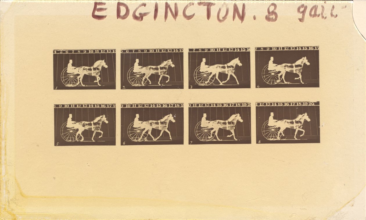 Internegatív lovakra. Ügető. Abe Edgington. 1878. 28. sz. alkotó: Eadweard Muybridge