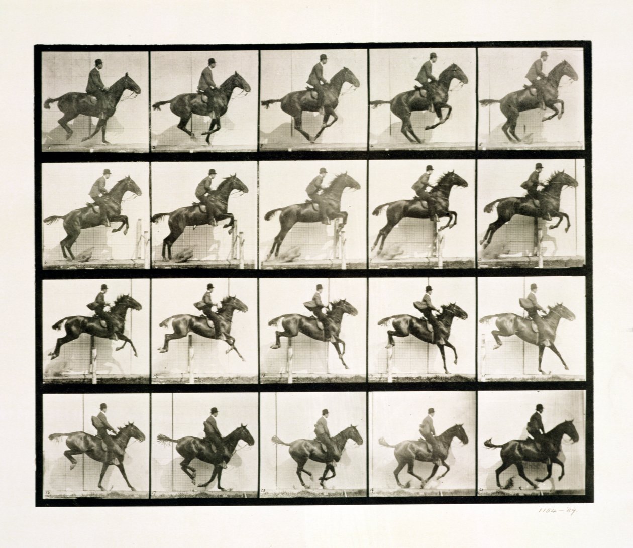 Ember és ló kerítést ugrál, 1887 alkotó: Eadweard Muybridge