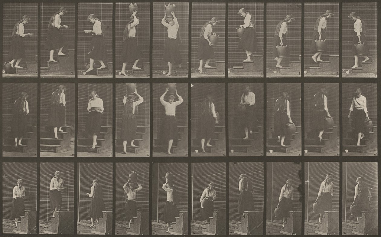 504. számú tábla. Felmenő és leszálló lépcsők, 1887. alkotó: Eadweard Muybridge