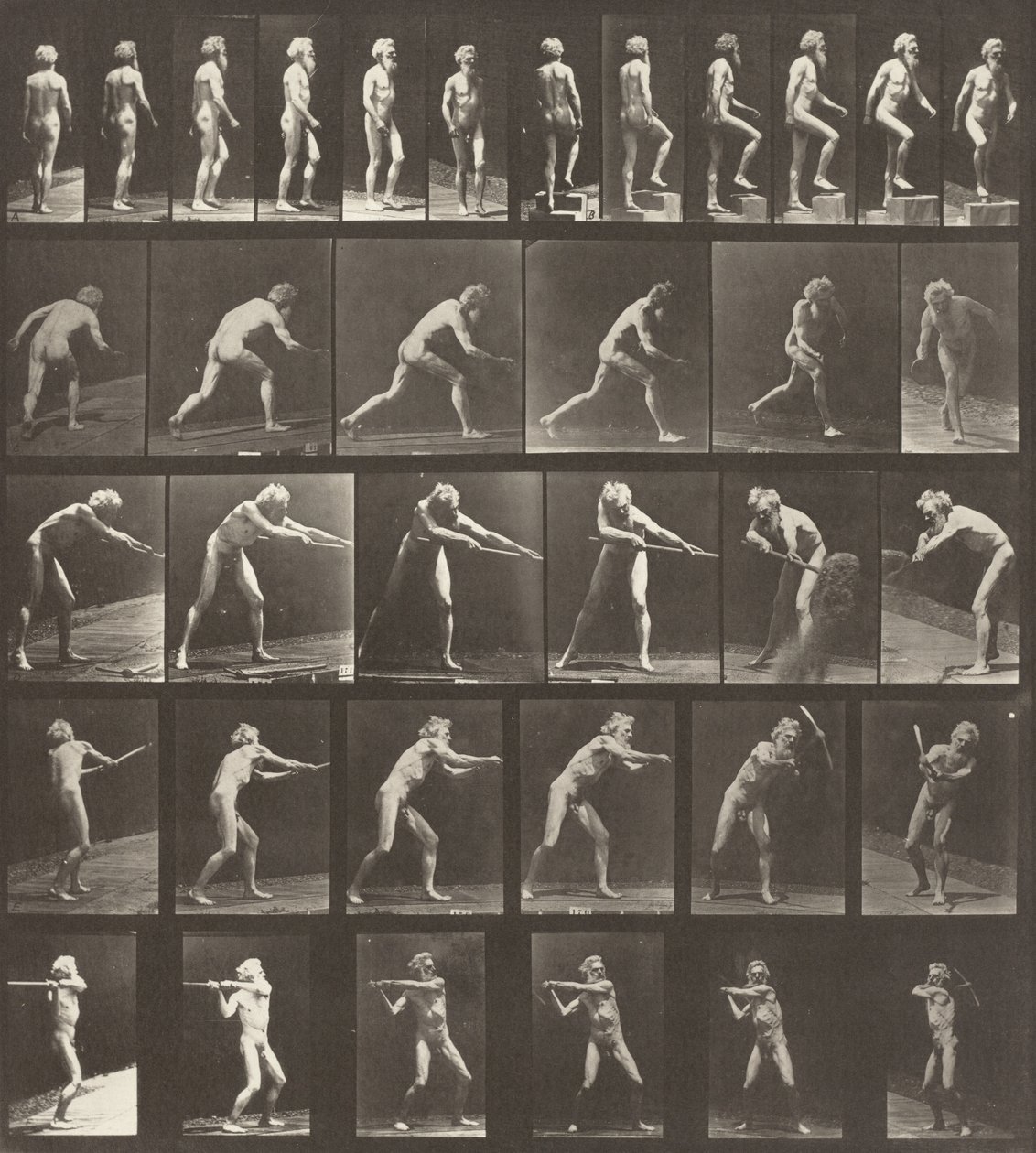 521. táblaszám. A: Séta. B: Egy lépcsőfok felemelkedése. C: A lemez eldobása. D: Lapáttal..., 1887. alkotó: Eadweard Muybridge