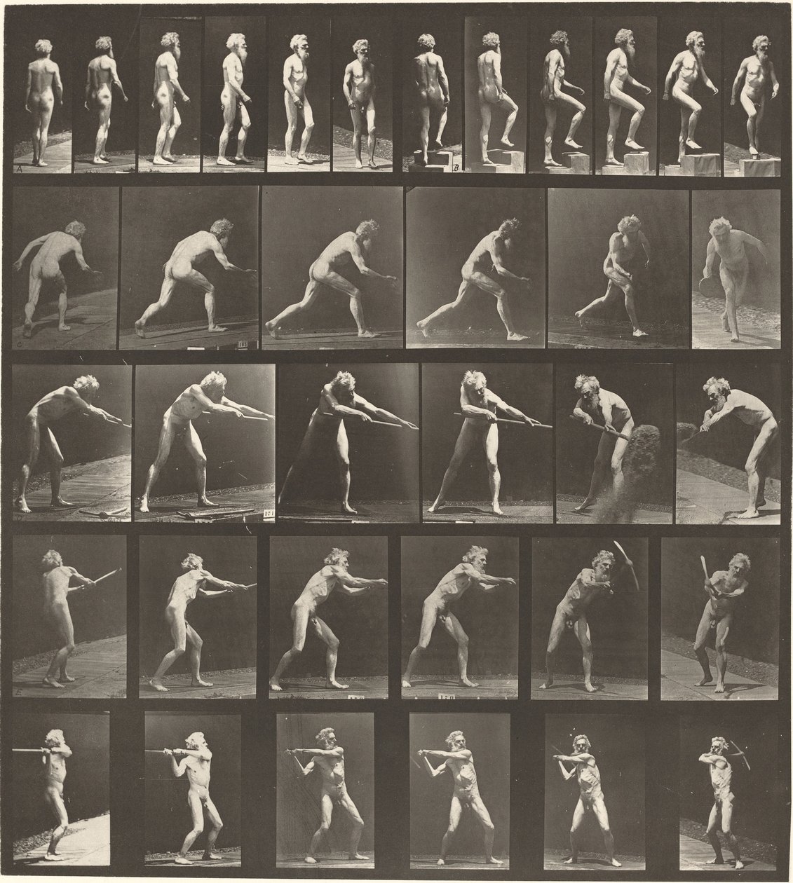 521. táblaszám. A: Séta. B: Növekvő lépés. C. Dobókorong. D: Lapáttal..., 1887. alkotó: Eadweard Muybridge